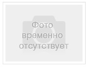 Чемпионат Санкт-Петербурга-2012 по летним видам ЕС